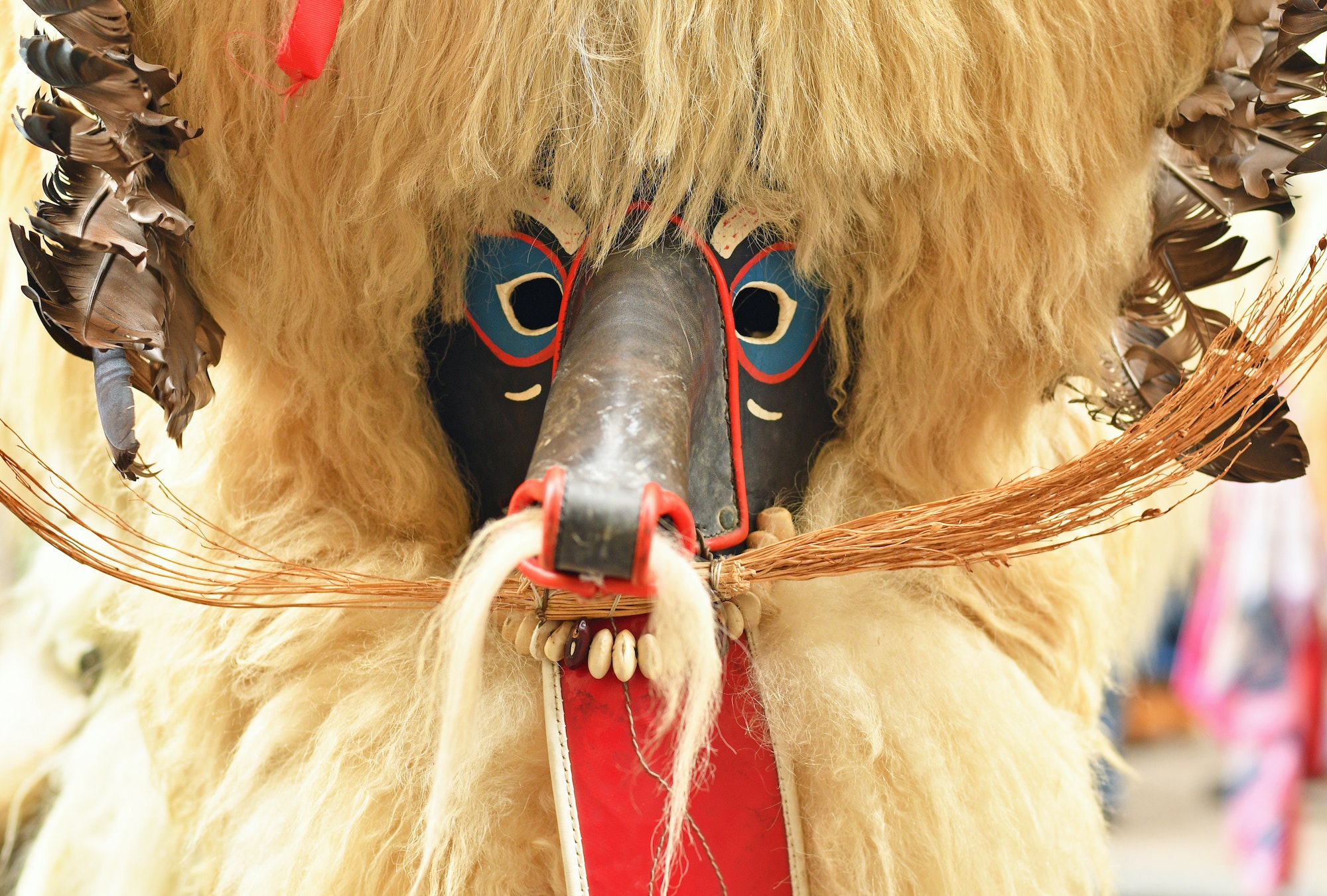 Close-up of traditional carnival mask, called Kurent, Slovenia