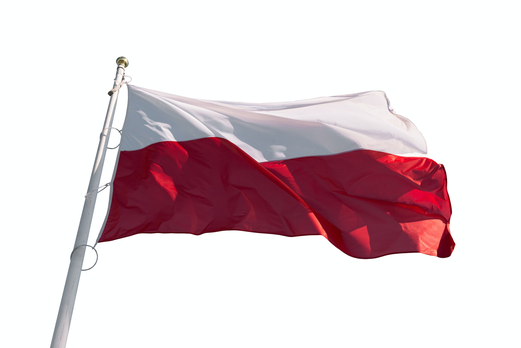 Flag of Poland isolated