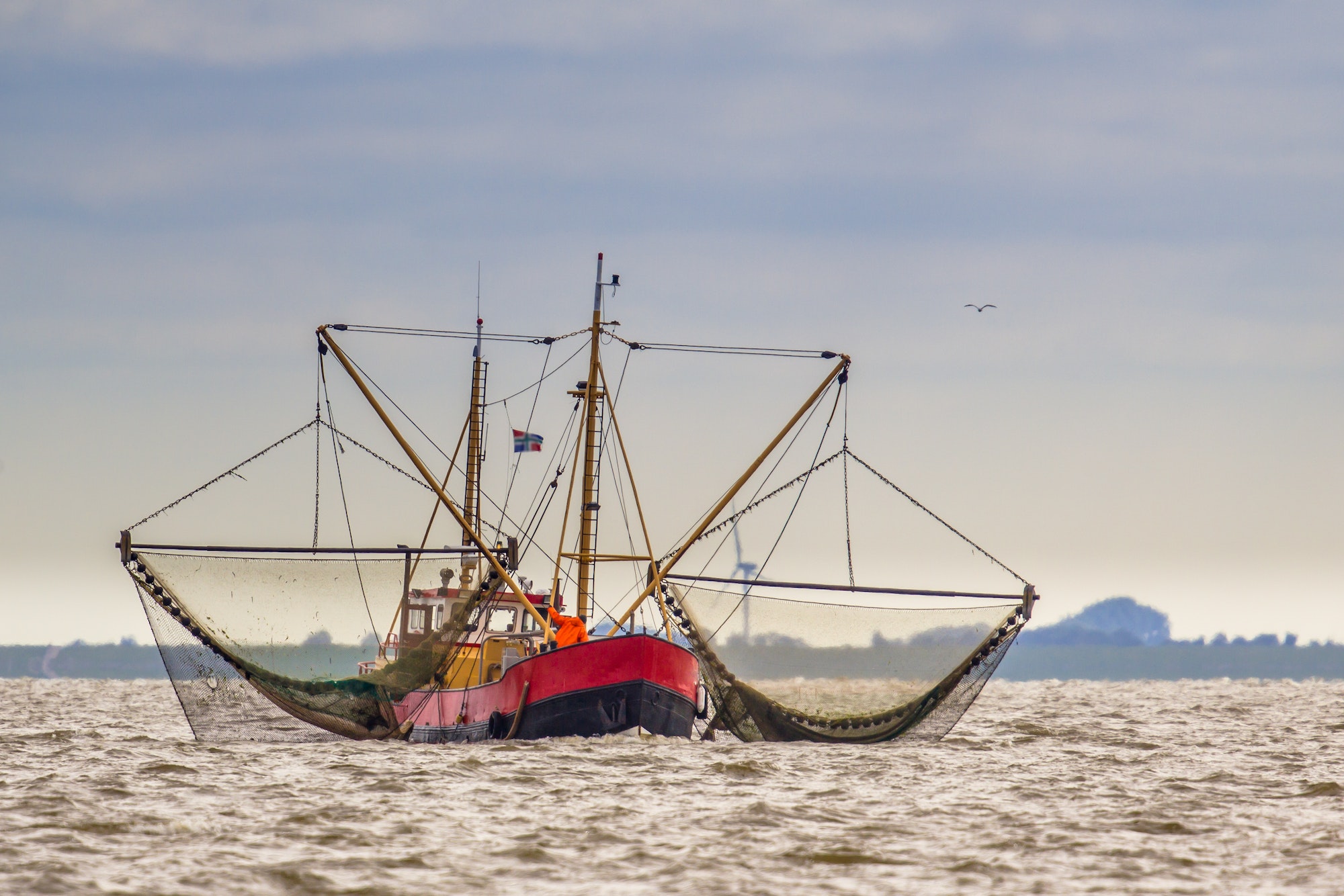 Shrimp fishing cutter ship on the Wadden sea