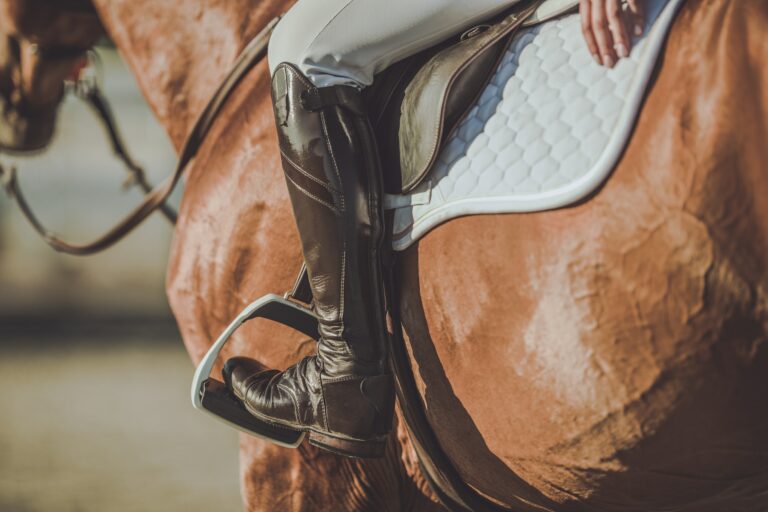 Hipologia i jeździectwo – kierunek studiów