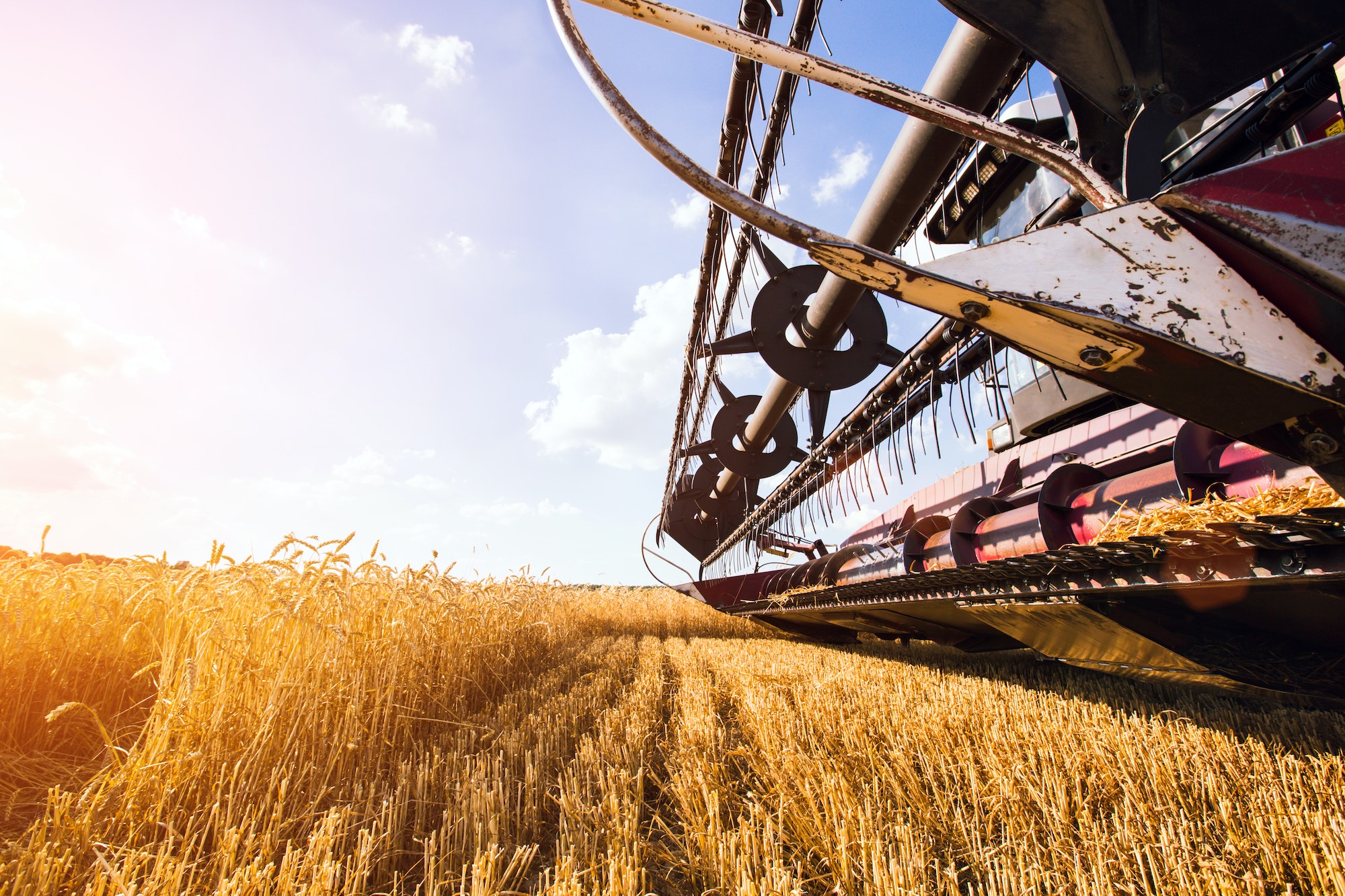 Photo of combine harvester that is harvesting wheat
