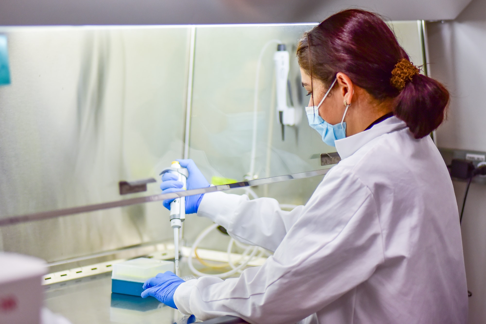 Woman researcher working in a bio safety cabinet